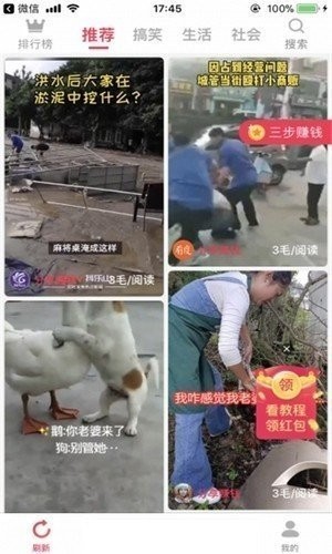 呆呆短视频