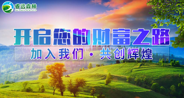 睿远森林 睿远森林