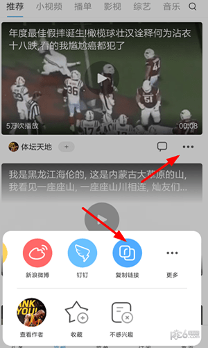 小乖鱼
