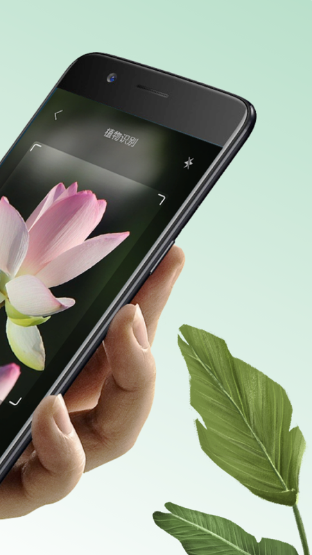 万物识图 万物识图