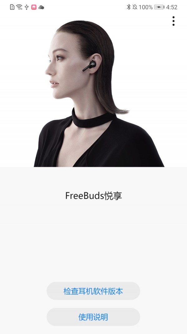 FreeBuds悦享 FreeBuds悦享