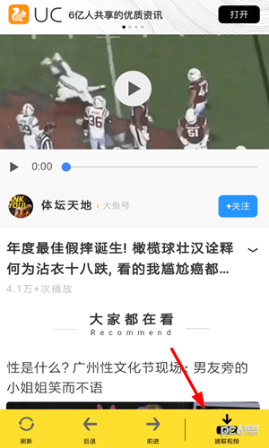 小乖鱼