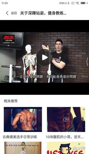 山猫运动 山猫运动