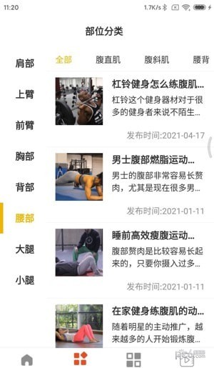 山猫运动 山猫运动