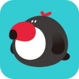 犀鸟公考 v5.1.0