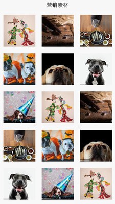 共创合伙人 共创合伙人