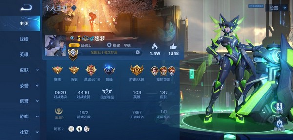 王者荣耀巅峰玩家辅助