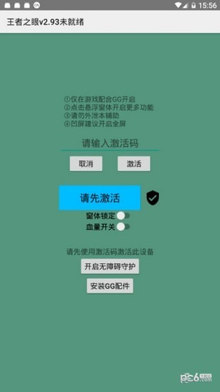 王者之眼