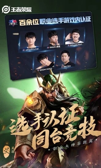 王者战绩清除器