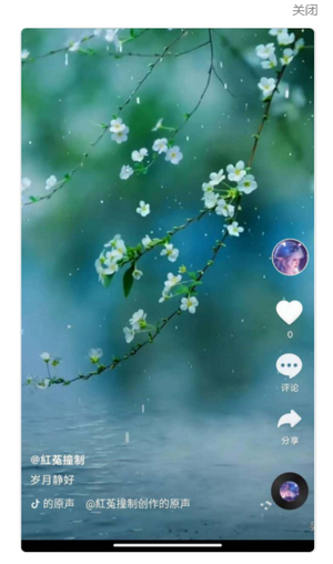 全民刷刷 全民刷刷