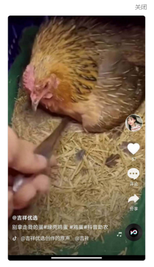 全民刷刷 全民刷刷