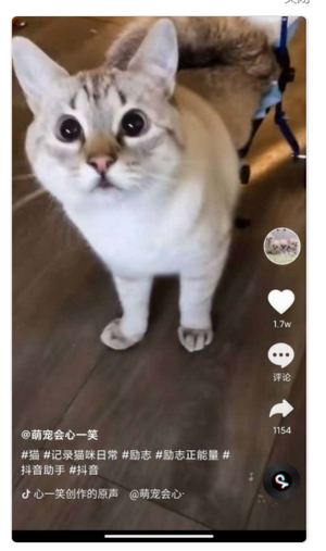 全民刷刷 全民刷刷