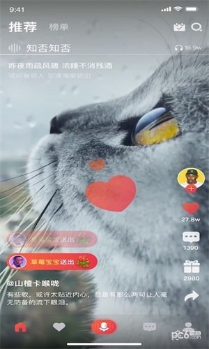 唱酱
