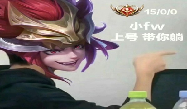 王者荣耀野王表情包