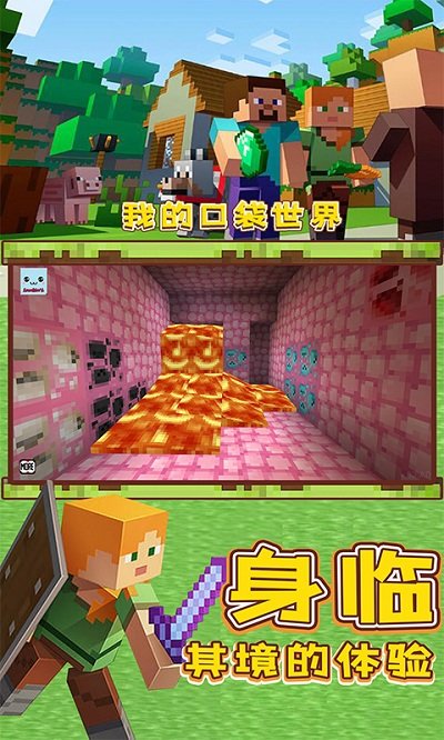 我的口袋世界中文版