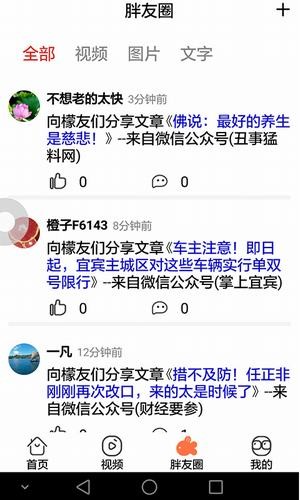 大胖头鱼