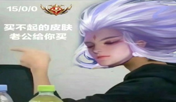 王者荣耀野王表情包