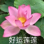 好运莲莲 v2.3.1