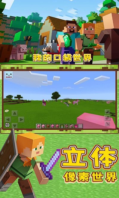 我的口袋世界中文版