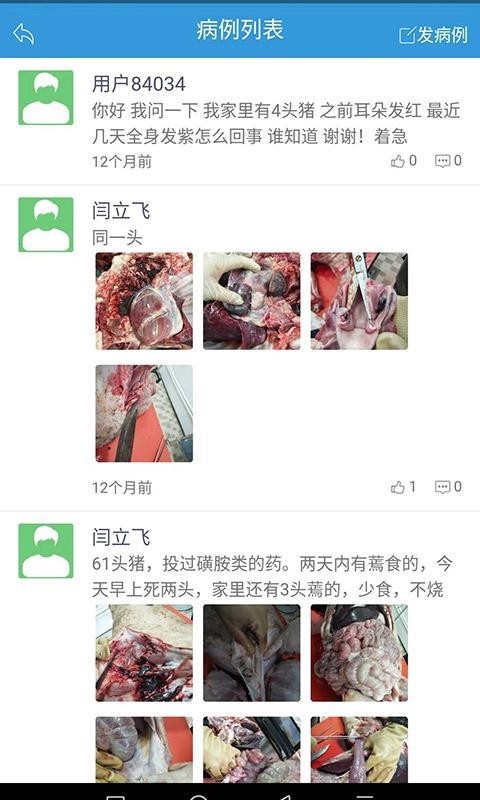 安安动服 安安动服