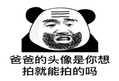 拍一拍表情包