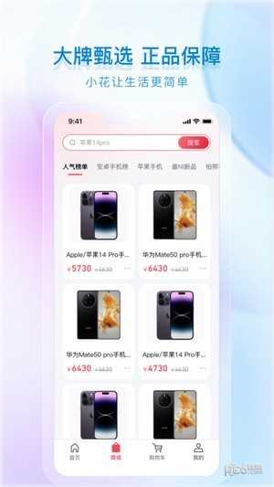 小花生活