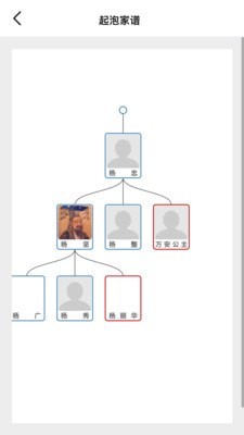起泡家谱 起泡家谱