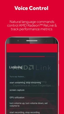 AMD Link