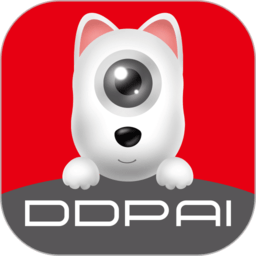 盯盯拍车机版app v7.2.13.0814 安卓官方版