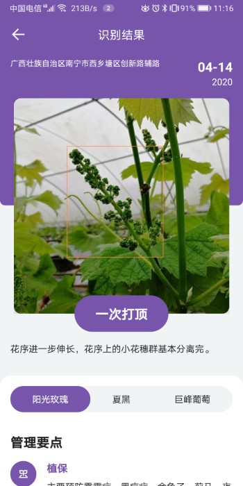 耘眼手机版下载