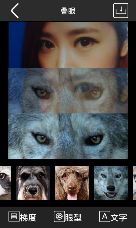 P图相机 P图相机