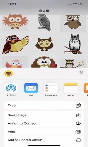 夜猫子猫头鹰 夜猫子猫头鹰