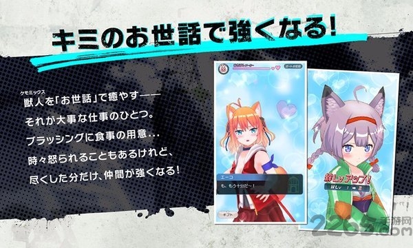 鸟之笼碎片拼接最新版