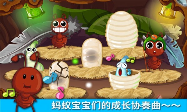 宝宝认蚂蚁