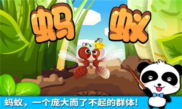 宝宝认蚂蚁