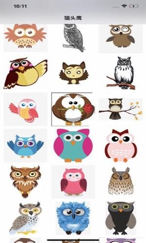 夜猫子猫头鹰 夜猫子猫头鹰