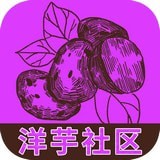 洋芋社区