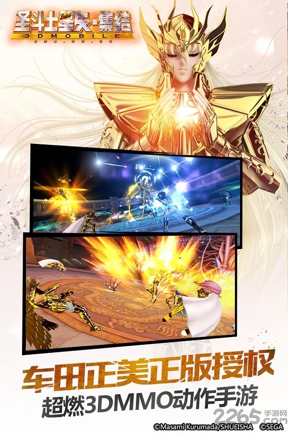 圣斗士星矢集结熊猫玩版