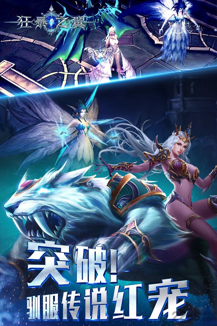 狂暴之翼熊猫玩