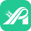 成农批 v1.0.0