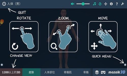 人体解剖3D模型 人体解剖3D模型