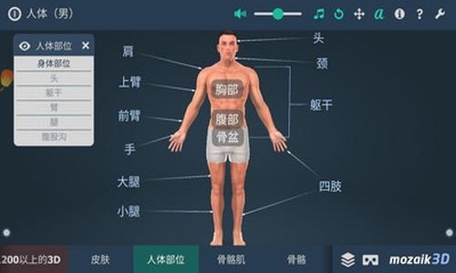 人体解剖3D模型 人体解剖3D模型