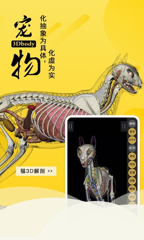 3Dbody宠物