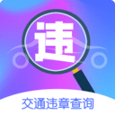 违章缴费 v4.2