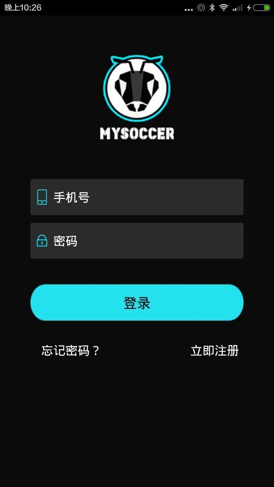 蚂蚁足球