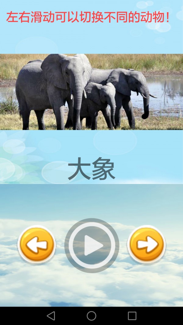儿童动物百科