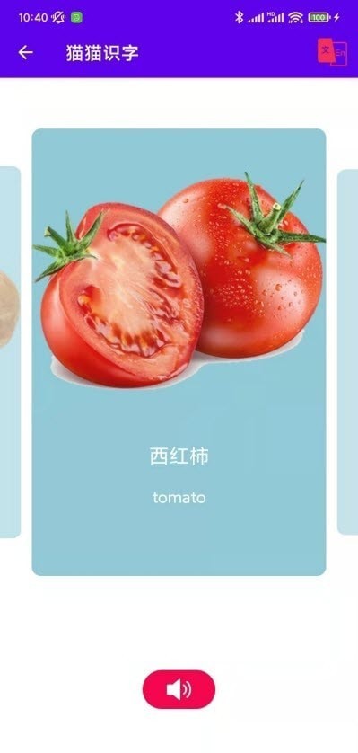 猫猫识字 猫猫识字