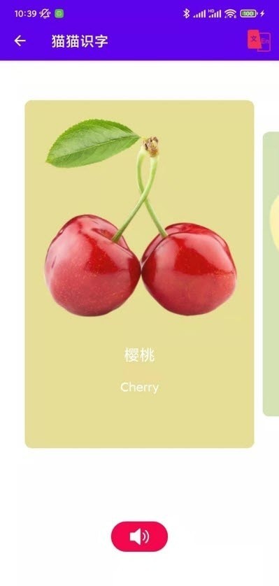 猫猫识字 猫猫识字