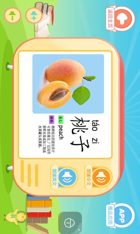 必学宝宝识字卡