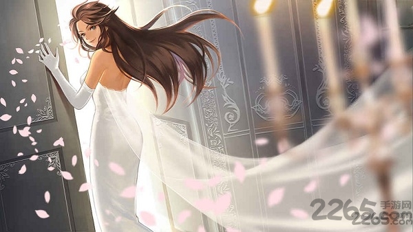 姬魔恋战纪无限能量版